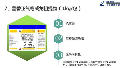 大力推進(jìn)一體化形象服務(wù)體系建設(shè)，推動(dòng)高山中獸藥向更高水平發(fā)展——信息系統(tǒng)運(yùn)行維護(hù)服務(wù)篇